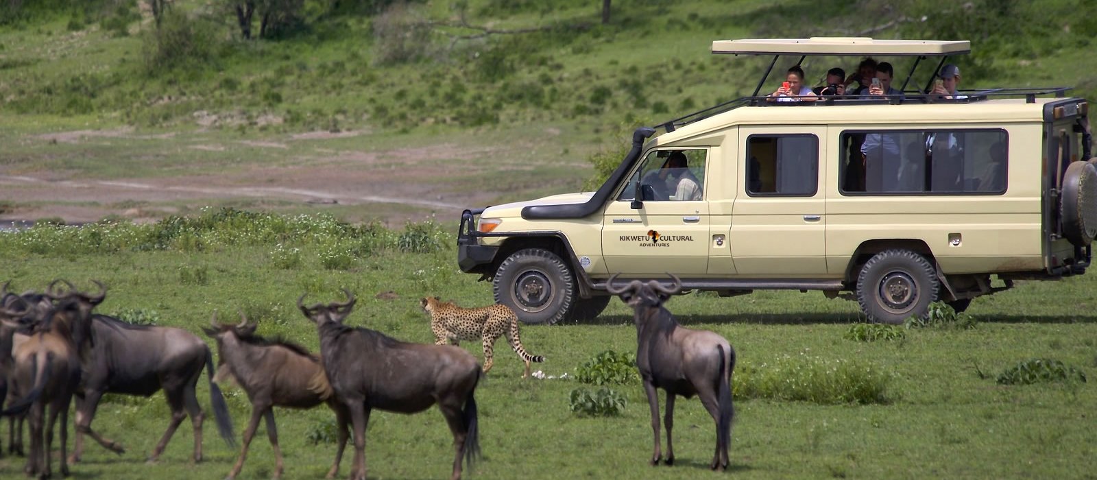 Kikwetu Cultural Adventures safari guides Nairobi Kenya team